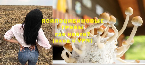 спиды Аркадак